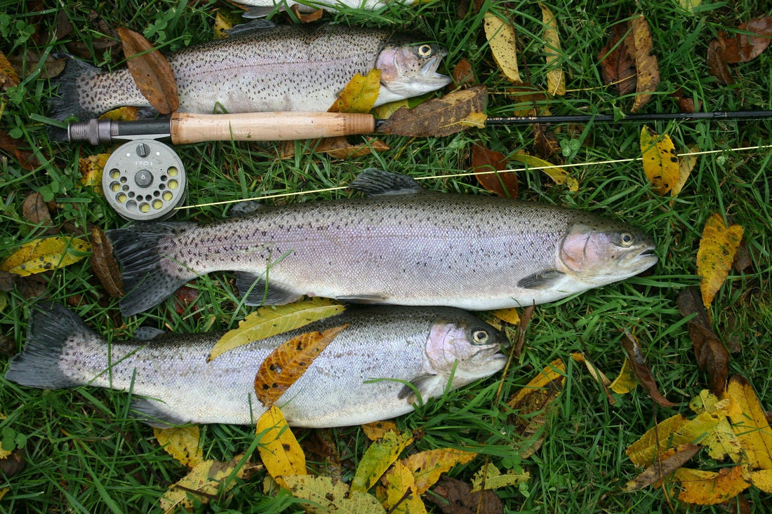 Why Vacuum Sealing is a Game-Changer for Hunters