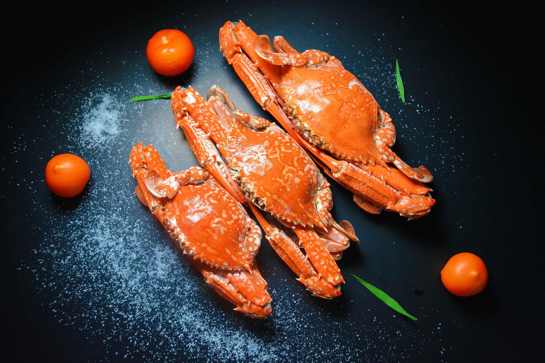 Do Vacuum-Sealed Foods Need Refrigeration? Storage Guidelines for Different Environments